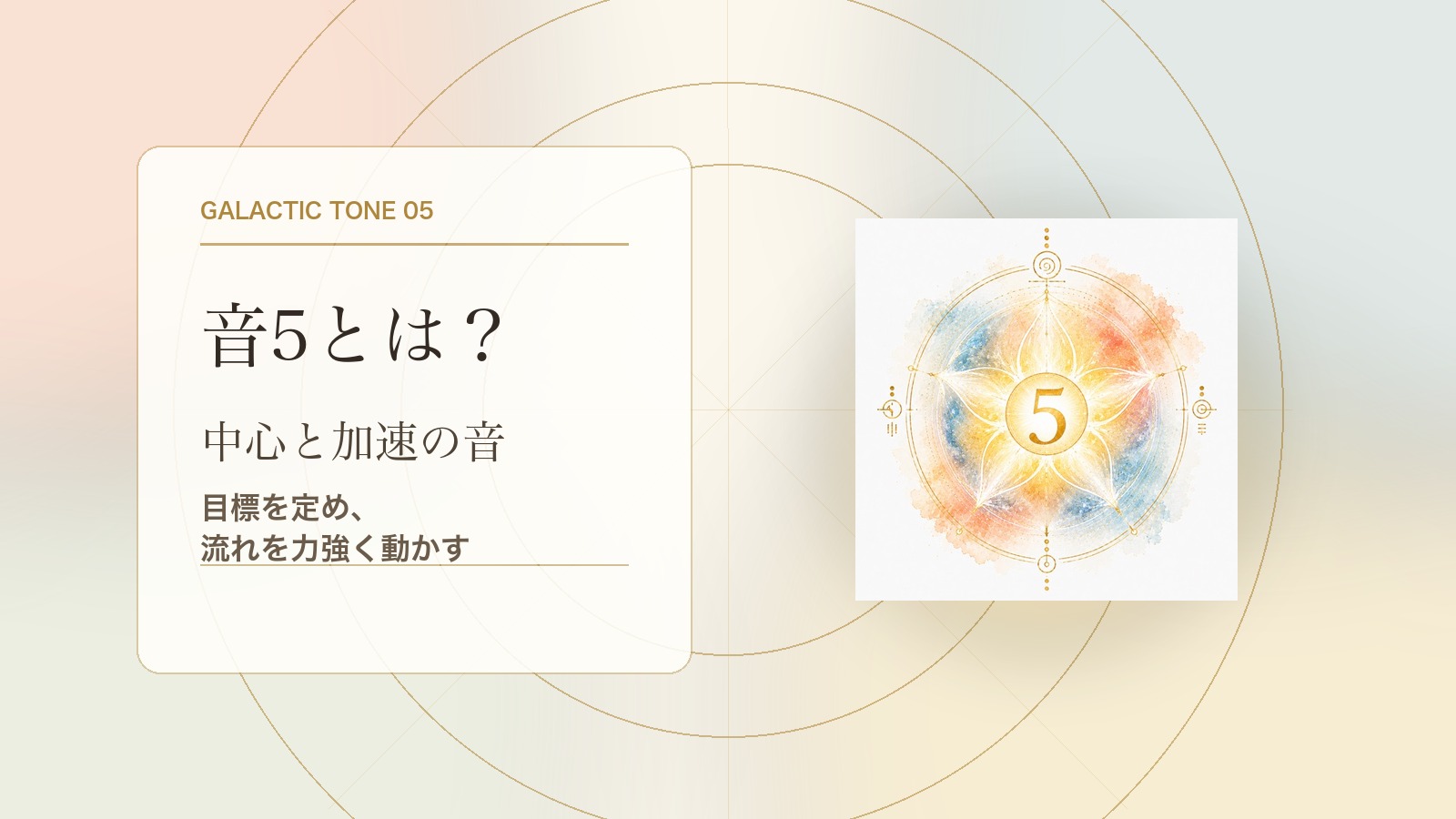 音5とは?